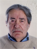 Giuseppe Demartini (PV) 