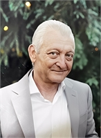 Nicola Miele