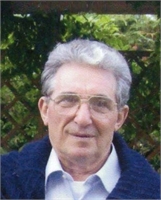 Alfredo Romagnoli
