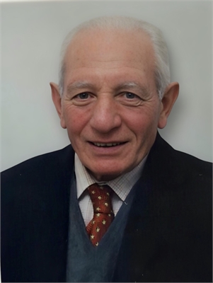 MAURO LOVAGLIO