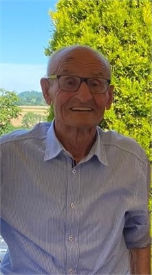 DOMENICO TORCHIO