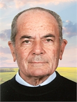 Vincenzo Viale (VA) 
