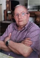 Angelo Luigi Braghin